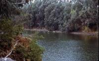 Река Йордан, във водите на която Христос е бил кръстен от Своя Предтеча