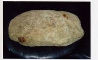 Хляб, изкаран от прабългарска гробница, намираща се в околностите на Айтос