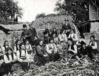 Мъже и жени ронят царевица на седянка в Пирдоп, снимка: www.lostbulgaria.com