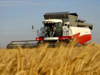 Реколтата тази година бе доста добра, но търговци крият в момента пшеницата