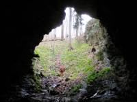 В търсене на прилепи в странджанските пещери