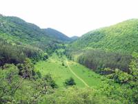 Местността Йолковица е открита падина и не предлага подходящи места за укритие