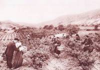 Розобер в Розовата долина през 1904 г.