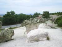 „Каменните гъби“ „растат“ досами шосето между Кърджали и Хасково