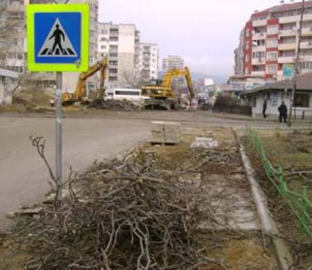 Масова сеч във Варна, еколозите нехаят