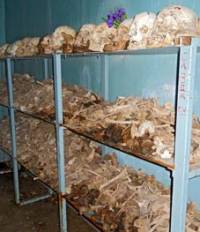 Костите на загиналите – вероятно повечето от тях принадлежат на български войници, но минават за сръбски