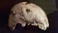 Фрагмент от черепа, за който руснаците официално твърдят, че е на Хитлер