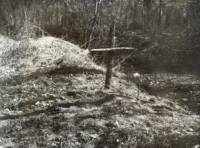 Март 1990 г. - незнаен гроб до оградата на двореца Врана