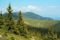 Изглед към връх Перелик в Родопите