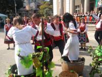 Ритуално мачкане на гроздето от танцьорите на ансамбъл „Тракийци“ по време на фестивала „Брестовица – грозде и вино“