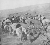 Български обоз край границата на Сърбия по време на Първата световна война