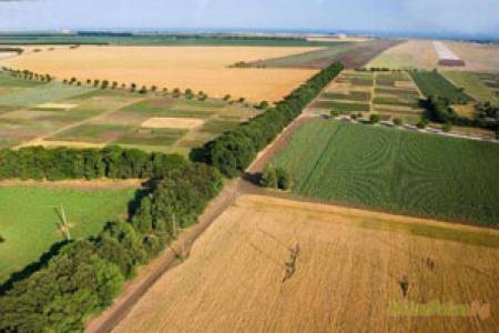 Собственост и използване на земеделските земи