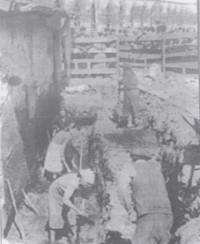 Момент от разкопките край северната стена на църквата „Св. Петка Самарджийска“ през май 1956 г.