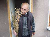 79-годишният Христо показва стрък с узрял сусам