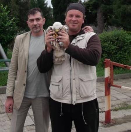Лидери на НФСБ от Сливен спасиха царски орел