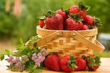 Как правилно да избираме ягодите