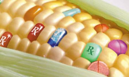 Конфликт на интереси с ГМО в Канада