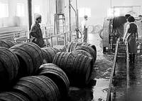 Фабриката за бира в Стара Загора през 50-те години на ХХ век