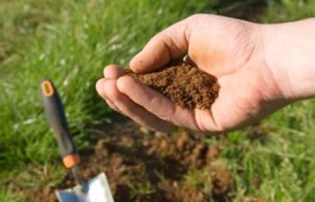 Как да разберем с каква почва разполагаме