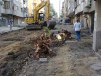 На ул. „Георги Раковски“ вече няма нито едно дърво. От снимката става видно, че не става дума за „подкопаване на корени“ и „подмяна“ на дървета, както се опитват да обяснят общинските чиновници
