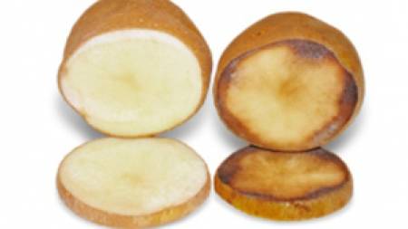 „Макдоналдс“ ще използва картофи с ГМО