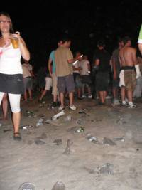 След края на бургаския фестивал по плажа остават само боклуци, които се чистят с парите на данъкоплатците