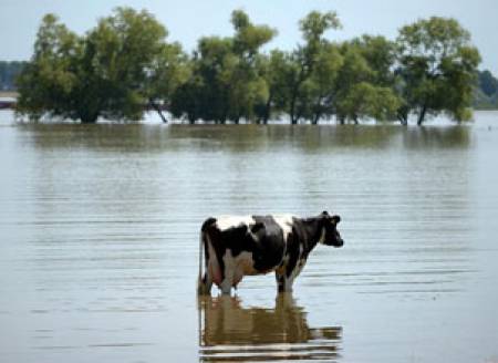 Помощи за земеделците в наводнените райони