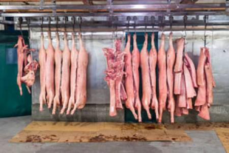 До 305 евро на тон отпускат по схемата за складиране на свинско