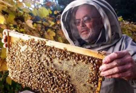 Приемат документи за кредитиране на пчеларите