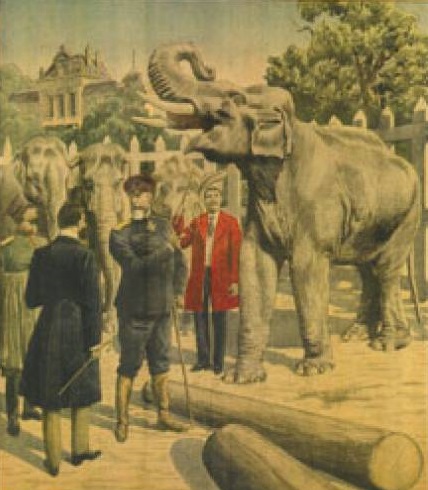 Неподозираната страст на българския цар Фердинанд към... слоновете