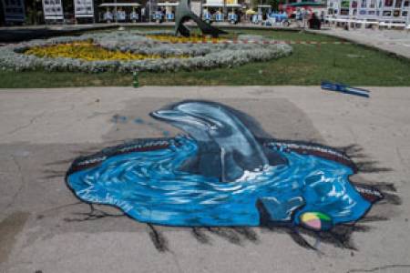 Делфин „се гмурна” под асфалта във Варна