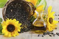 От слънчогледовото семе се извлича ароматно олио с цвят на старо злато и пчелен мед