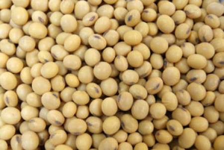 Изтеглят от пазара 10 тона ГМО соя от Украйна
