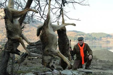 Особености на българския национален лов