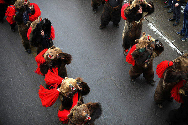 Мечки минаха на парад в Румъния