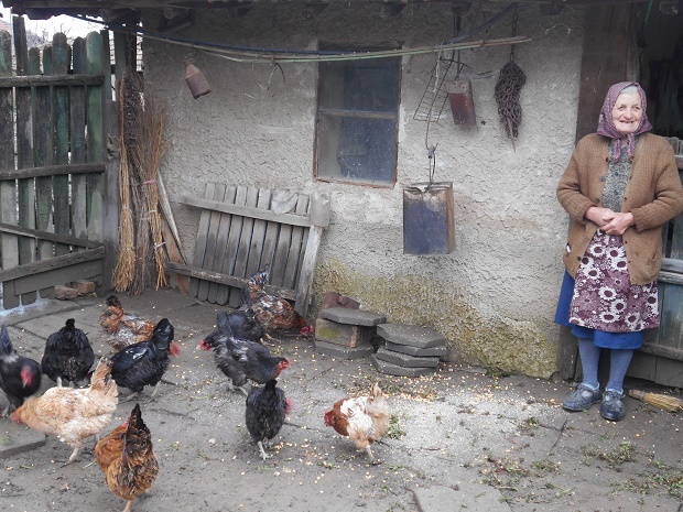 Над 200 000 са умъртвените до момента птици в Пловдивско заради птичия грип