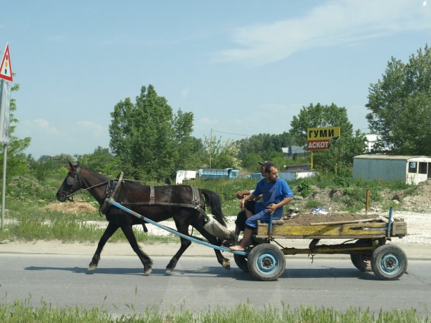В Благоевград въвеждат регистър на коне и каруци