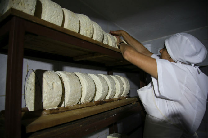 Европейски чиновници ще учат родните фермери как се прави истинско сирене