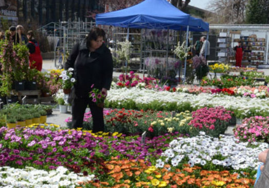 "Цветна пролет" ще разцъфти на панаира в Пловдив