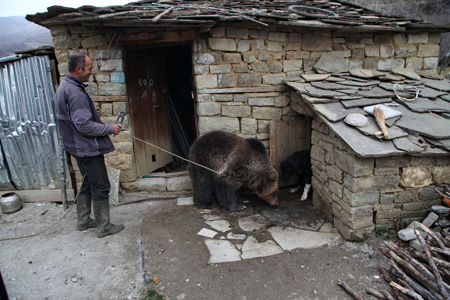 Явлението "танцуваща мечка" вече няма да съществува на Балканите