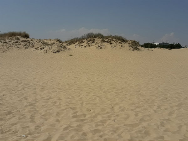Спешно проверяват дюните в Слънчев бряг и язовирите в цялата страна