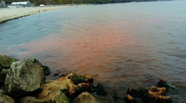 Високите температури и водораслите са оцветили в червено водата край Южния плаж във Варна