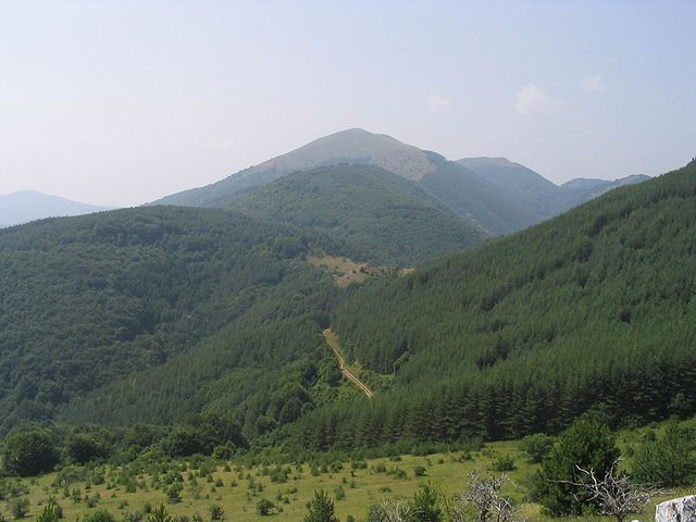 Сърби и българи изкачваха граничния връх Руй