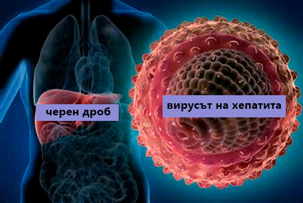 Гей парадите повишават риска от заразяване с хепатит А
