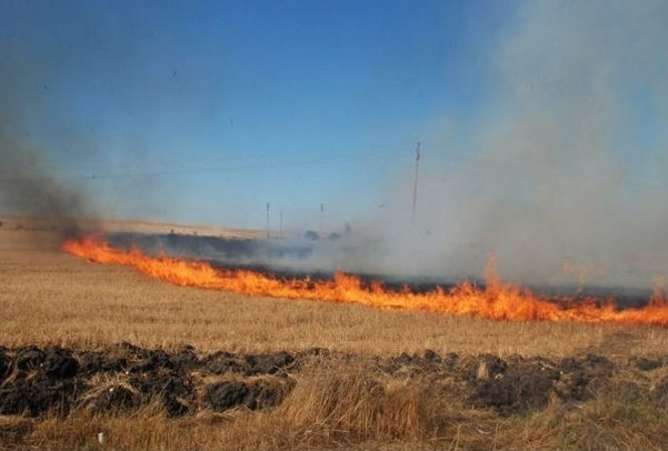 Мистериозни пожари на натоварени с дърва коли унищожават житата във Врачанско