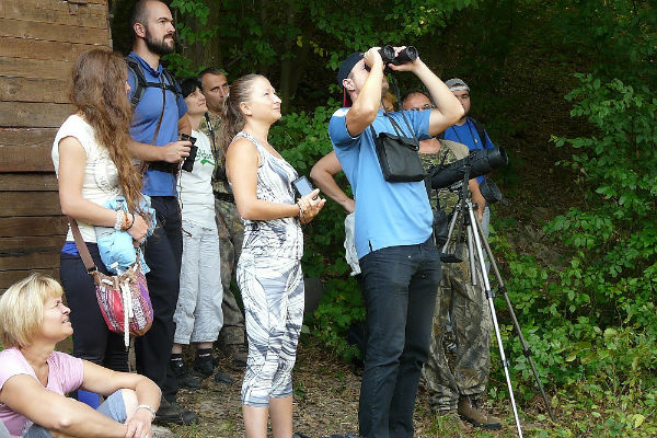 Във Врачанския балкан организират наблюдение на белоглави лешояди