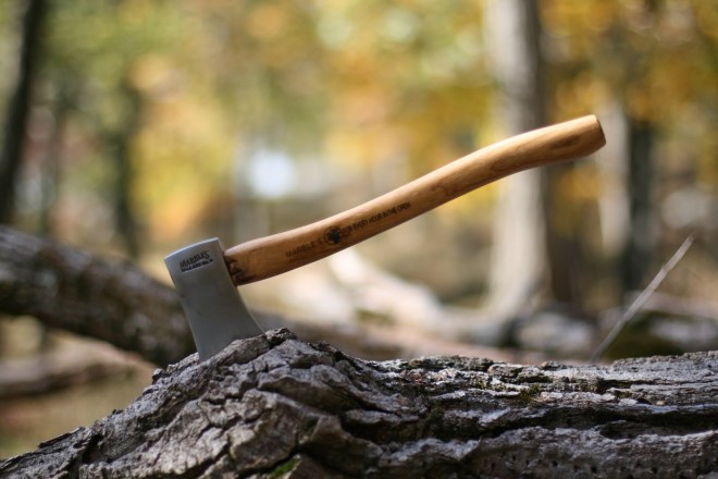 ПАРАДОКС: В Родопите може да останат без дърва за огрев