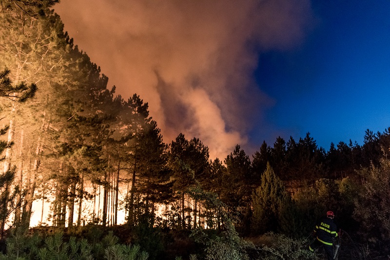 Екологична катастрофа: Пети ден огнената стихия край Кресненското дефиле не може да бъде овладяна