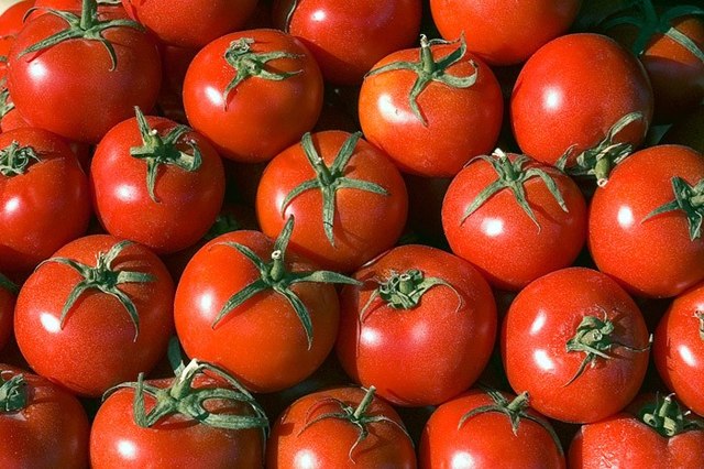 Родните фермери отгледаха чудни домати, но никой не ги иска