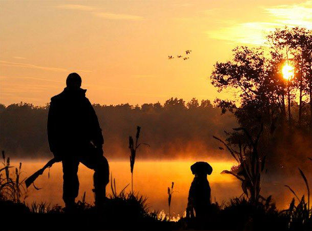 Патриотите внесоха предложение за промени в Закона за лова